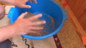 Прикормка на карася. Тверская кормушка, Пружина на карася, Убийца на карася летом. Клев будет всегд