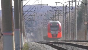 "Ласточка полетела вниз" ЭС2Г- 002 "Ласточка" на высокой скорости проносится мимо