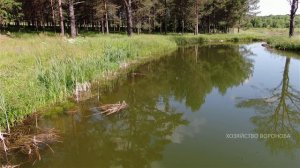 Летаю над прудами. Рыба есть