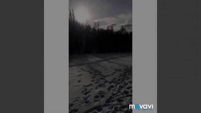 СУПЕР РЫБАЛКА НА РЕКЕ МАНА!!! Ловля щуки на #жерлицы в #глухозимье. Подлёдная ловля в протоке смотреть онлайн