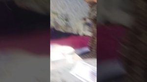 как сестре правильно ставят укол