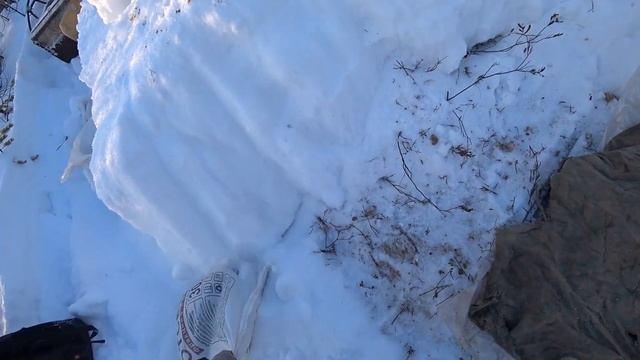 Галечник в Ряму для Глухаря. Медвежье дерево, пихтовые веники для бани смотреть онлайн