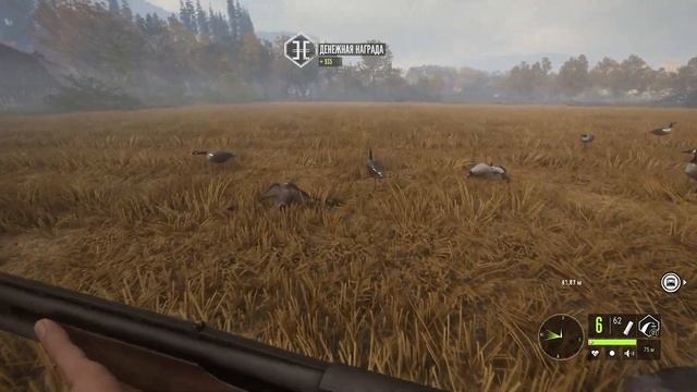 TheHunter Call of the Wild ОХОТА на КАНАДСКУЮ КАЗАРКУ # 65 смотреть онлайн