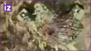 Дроноводы нашли «убийцу танков» - украинский ПТРК «Стугна» обезврежен / Известия