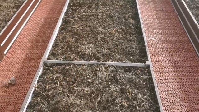 Обработка теплицы после уборки урожая. Что внести в грядки. Убираем морковь. Первые заморозки в ХМА