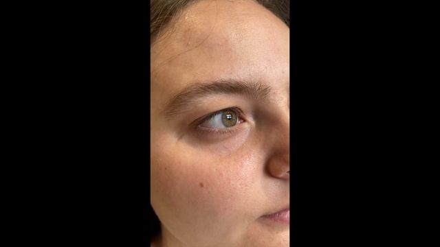 Обучение у бровиста Юлии Яновской @brow2go (#интеллигентныеброви)
