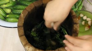 Засолка огурцов в  кадке.