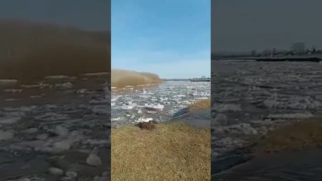 Сход льда в башкирской реке Балая.