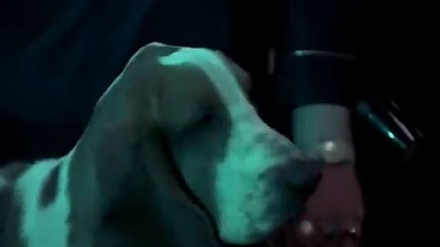 Bud Spencer & Terence Hill - Go For It (subtitrat română) смотреть онлайн