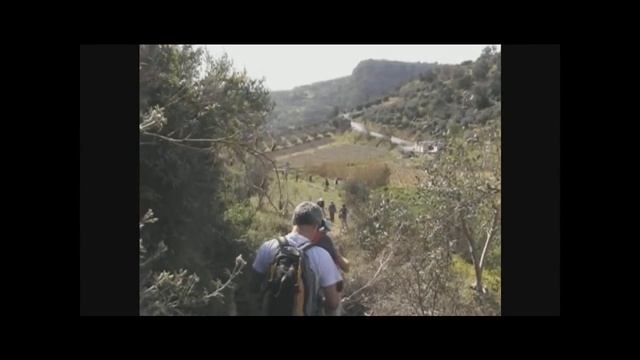 paliani hd смотреть онлайн