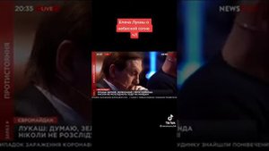 Украина. Елена Лукаш развенчивает миф о майдане и небесной сотне.Ч.1.