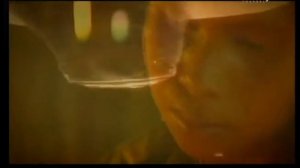 Речные монстры c Джереми Уэйдом - гигантская арапаима