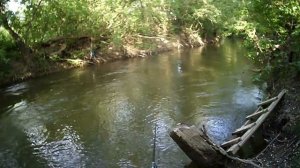 РЫБАЛКА НА РЕКЕ КАМЕНКА 06.05.18.