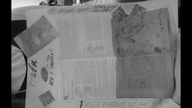 Школа 2025 3 "А" Проект ЦАРСТВО ГРИБОВ смотреть онлайн