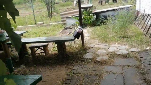 СНТ Факел смотреть онлайн