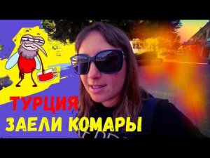 ОТДЫХ В ТУРЦИИ\НОВОЕ УТРО\ПЛЯЖ\ПОШЛА ЗА ФУМИГАТОРОМ\ЗАЕЛИ КОМАРЫ