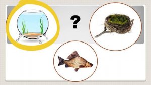 Игра "Кто где живёт?"