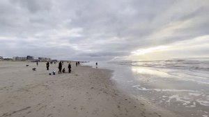 ДЕКАБРЬ В НИДЕРЛАНДАХ У МОРЯ, 20.12.2021 ПЛЯЖ ЭГМОНД АН ЗЕ