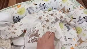 Что надо реборну на первое время