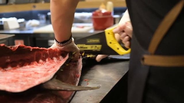 рекламный ролик для ресторана KOI