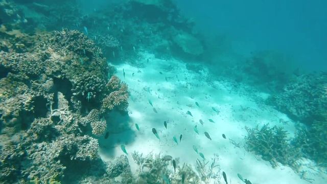 Jet Ski Tour FIJI 2014 смотреть онлайн