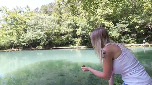 Fender Bunny Ride to Maramec Springs 2019 смотреть онлайн