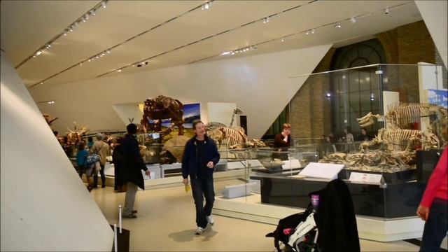 Royal Ontario Museum in Toronto, Canada смотреть онлайн