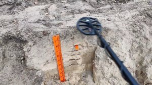 Вторая жизнь Minelab Vanquish/сравнение катушек V12 и Gerris 12. Есть смысл???