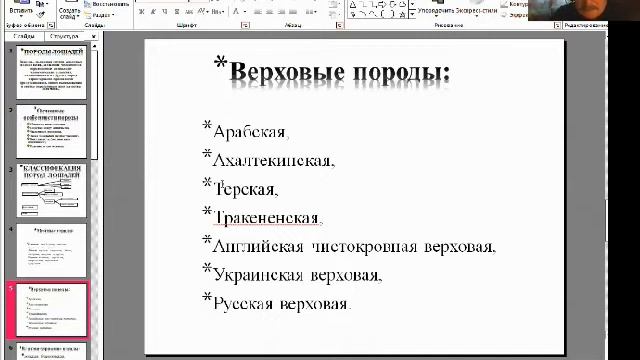 Лекция от 20 04 2020 "О породах лошадей". смотреть онлайн