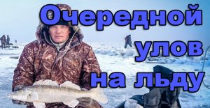 Очередной улов на льду