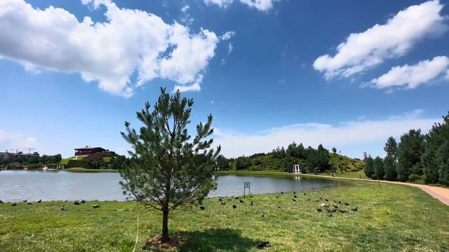 Задумывались купить жилье в Краснодаре ? Тогда это видео для вас ! Подробнее ниже ! #жильекраснодар