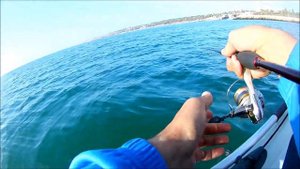 Бычок на спиннинг с лодки, тревел спиннинг Flagman Plex Mobile