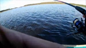 Мои воблеры на судака и щуку. Рыбалка на Селигере