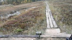 Сайга 308-1. Исп.46. 150 метров. Стреляем, кайфуем.