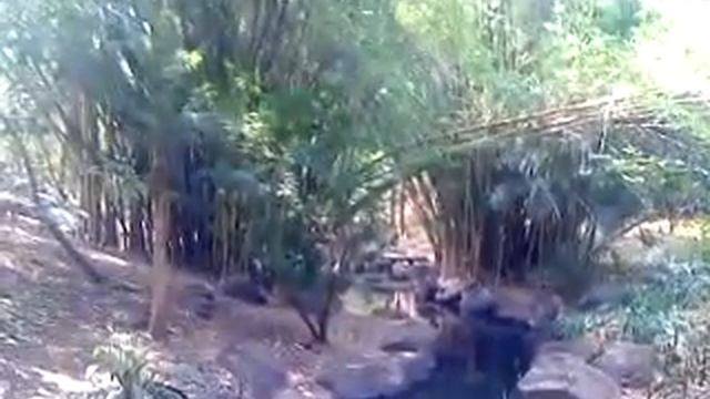 Дзен сады в Пуне смотреть онлайн