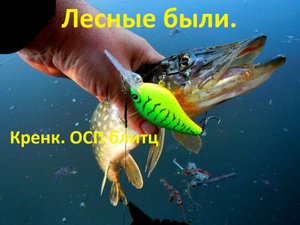 ОСП .Блиц. Воблер кренк с Китая.