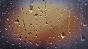 Mister Kredo Mr Credo Brodjaga 2016 Song for the So spaces im