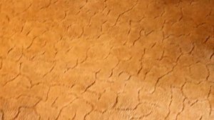 ТЕСТ Ваниш для ковров и против пятен