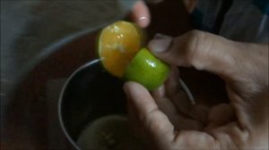 Calamondin - Calamansi fruit harvesting and juice making