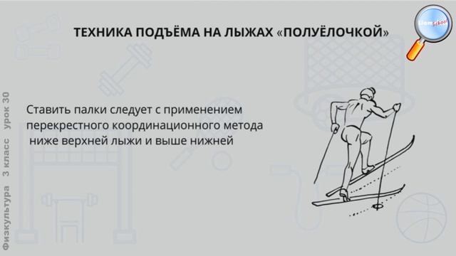 Физическая культура 3 класс (Урок№30 - Итоговый урок по лыжной подготовке. Выдающиеся лыжники.)