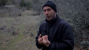 УКРЕПИТЬ СЕРДЦЕ ВОССТАНОВИТЬ СЕРДЦЕ И СОСУДЫ