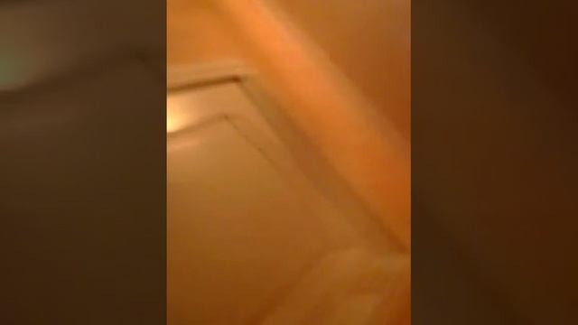 Залазим под одеяло, сидим с ночничком!!!))) Залазим в шкаф не удобно! Россказываю что нибудь!.../)) смотреть онлайн