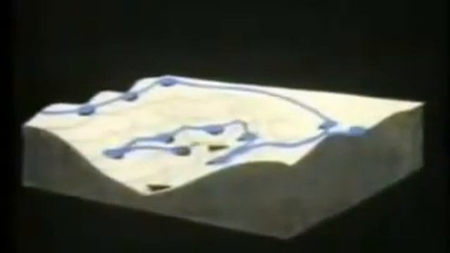 Bill Mollison - Documental sobre Permacultura