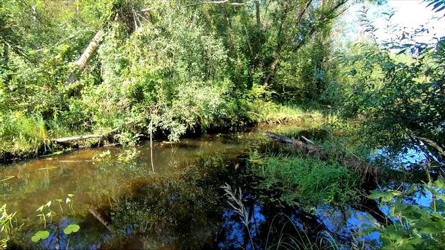 Странный сон.Поработал и на рыбалку... смотреть онлайн