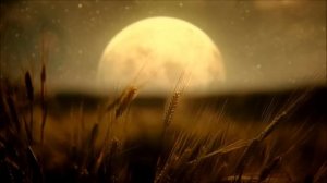 ПСАЛТИРЬ / Аудио Библия. Синод, 77. В. Шушкевич