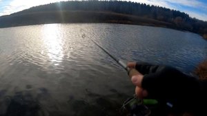 Отводной рулит, рыбалка на Упе