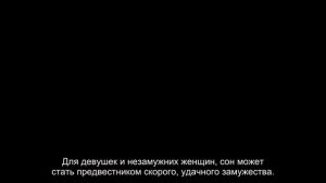 К чему снится голова собаки? Толкование сна и его значение по сонникам Хассе и Ванги