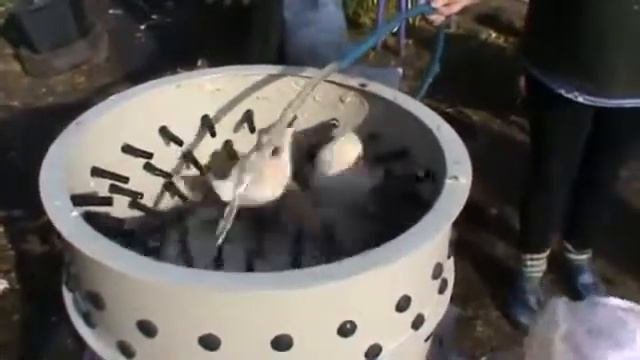 Перосъемная машина Спрут-500У
