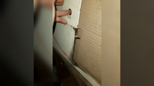 Обескрыливатель семян хвойных пород