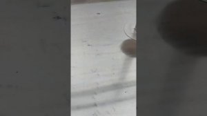 Пресс рычажный для сыра средний